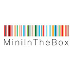 miniinthebox.jpg